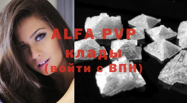 гидра Богородицк