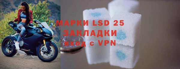 гидра Богородицк