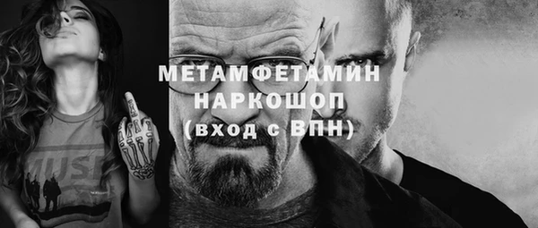 гидра Богородицк