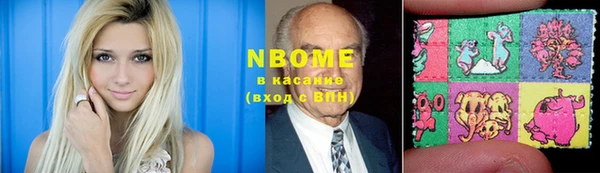 гидра Богородицк