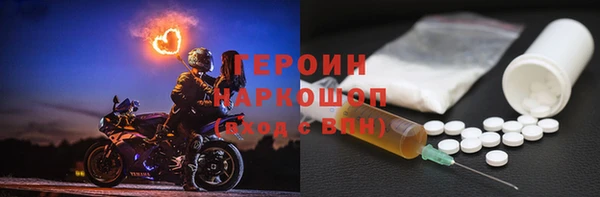 гидра Богородицк