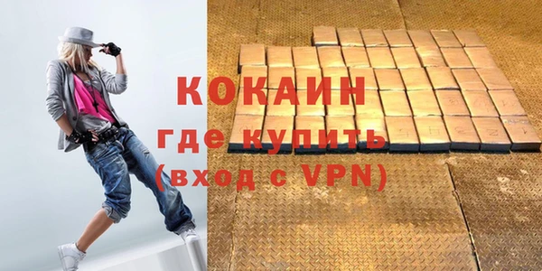 гидра Богородицк