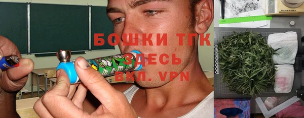 гидра Богородицк