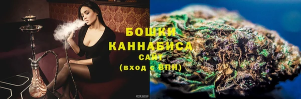 гидра Богородицк